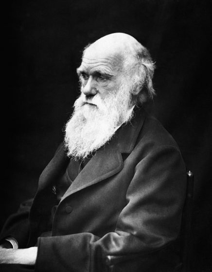 Portret Karol Darwin